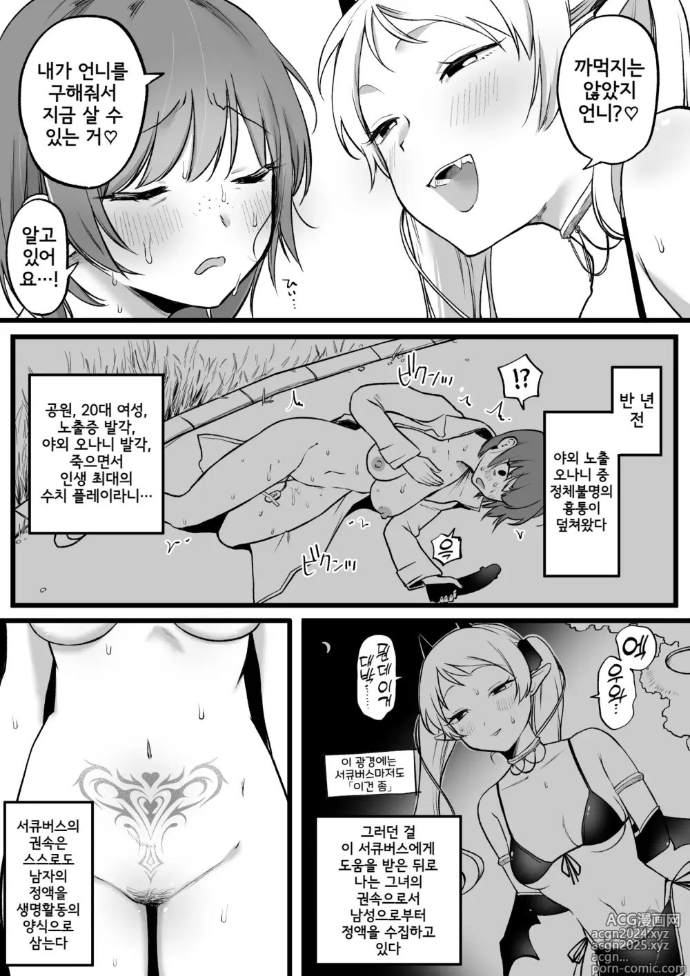 Page 3 of doujinshi Succubus no Pashiri ni Natta OL no Matsuro