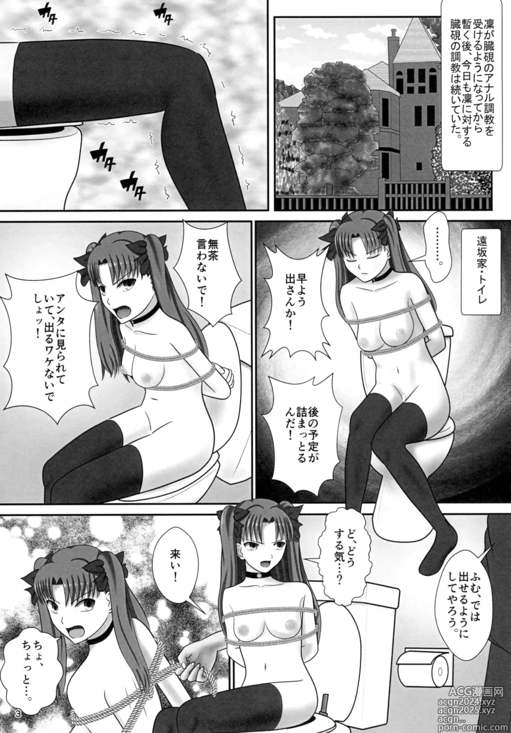 Page 5 of doujinshi Tosaka Rin no Nichijou Zoku Zoku