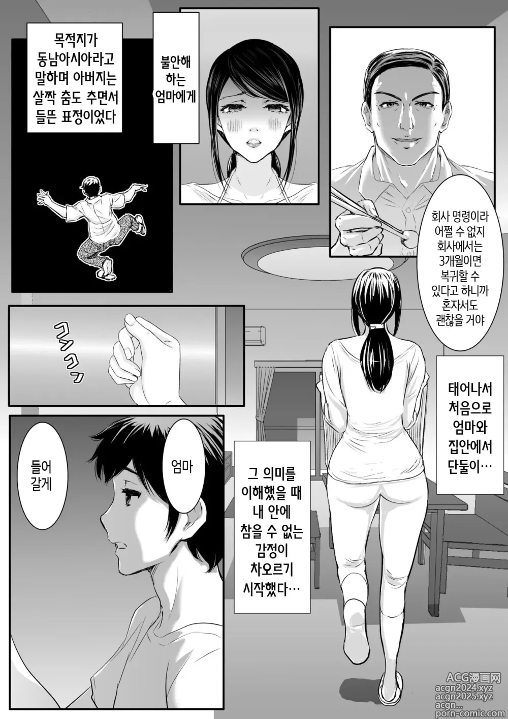 Page 8 of doujinshi 상냥한 엄마를 이용해 질내사정 강간 탁란