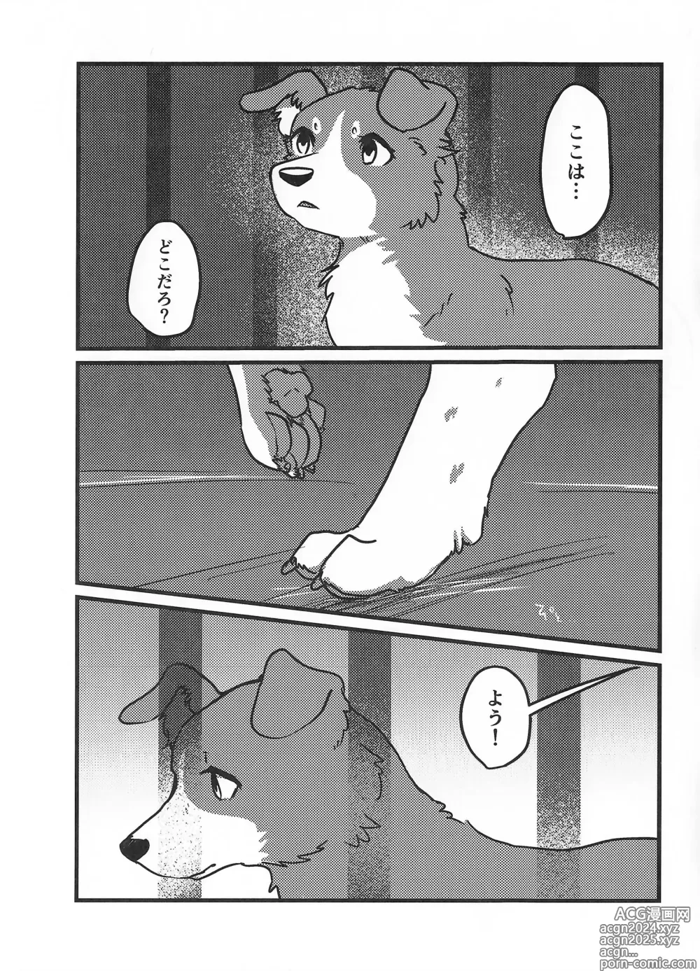 Page 2 of doujinshi DOG.IN.CAGE The best in corn