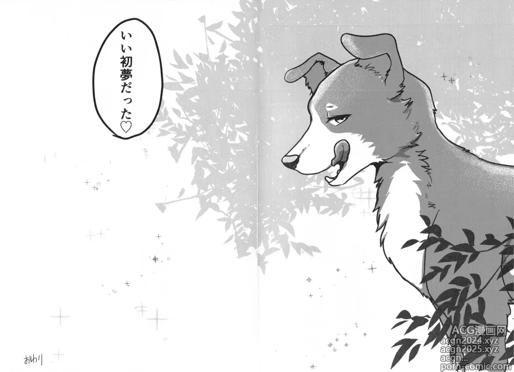 Page 11 of doujinshi DOG.IN.CAGE The best in corn