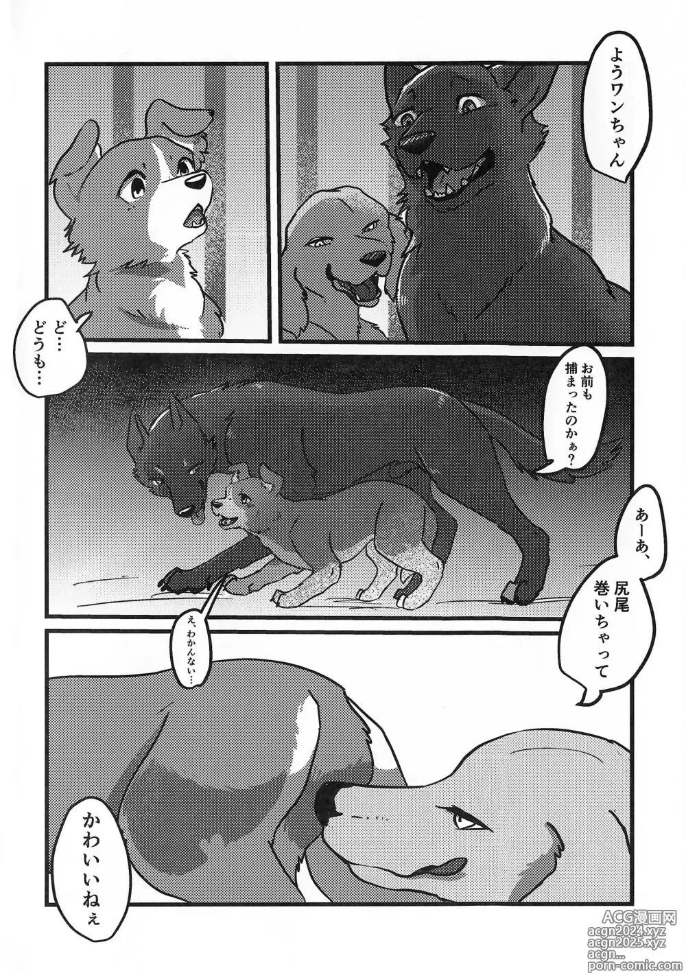 Page 3 of doujinshi DOG.IN.CAGE The best in corn