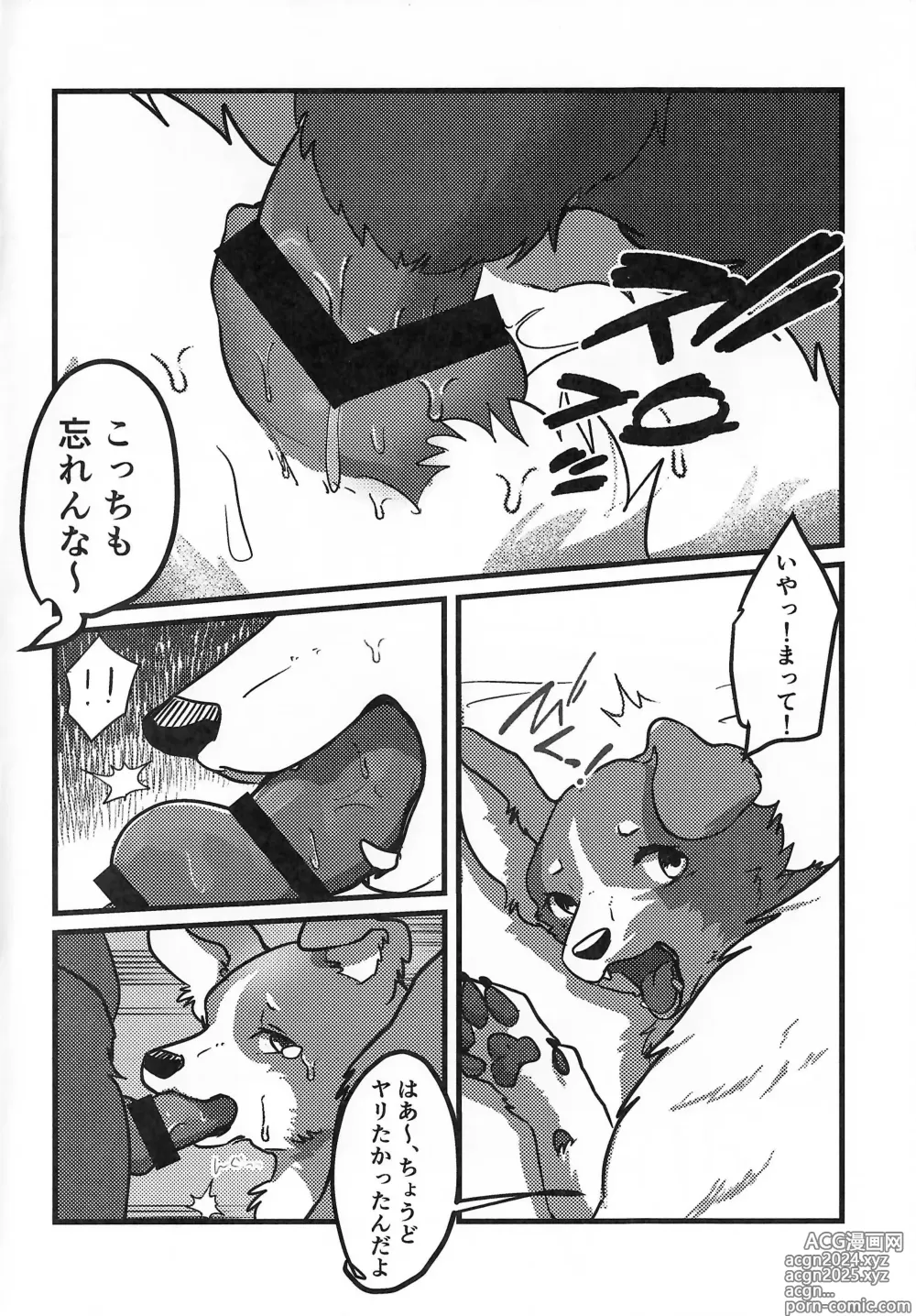 Page 5 of doujinshi DOG.IN.CAGE The best in corn