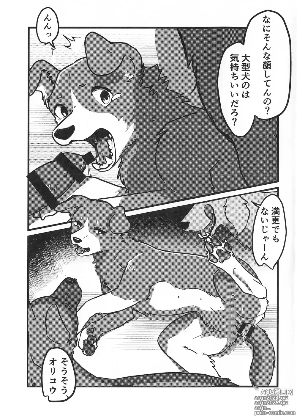 Page 6 of doujinshi DOG.IN.CAGE The best in corn