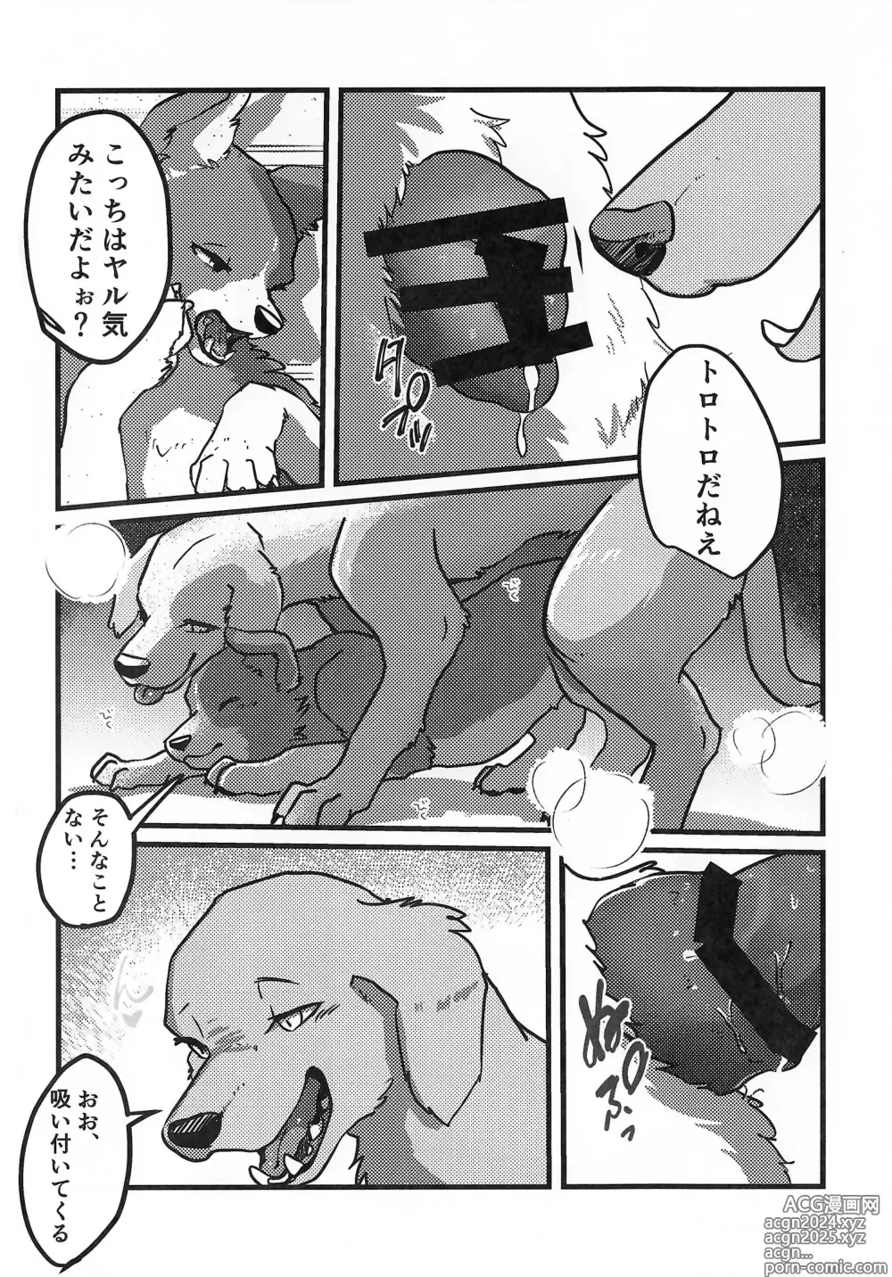 Page 7 of doujinshi DOG.IN.CAGE The best in corn