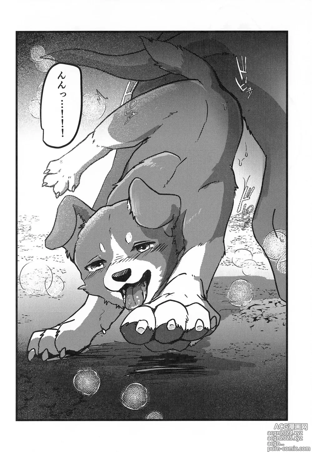 Page 9 of doujinshi DOG.IN.CAGE The best in corn