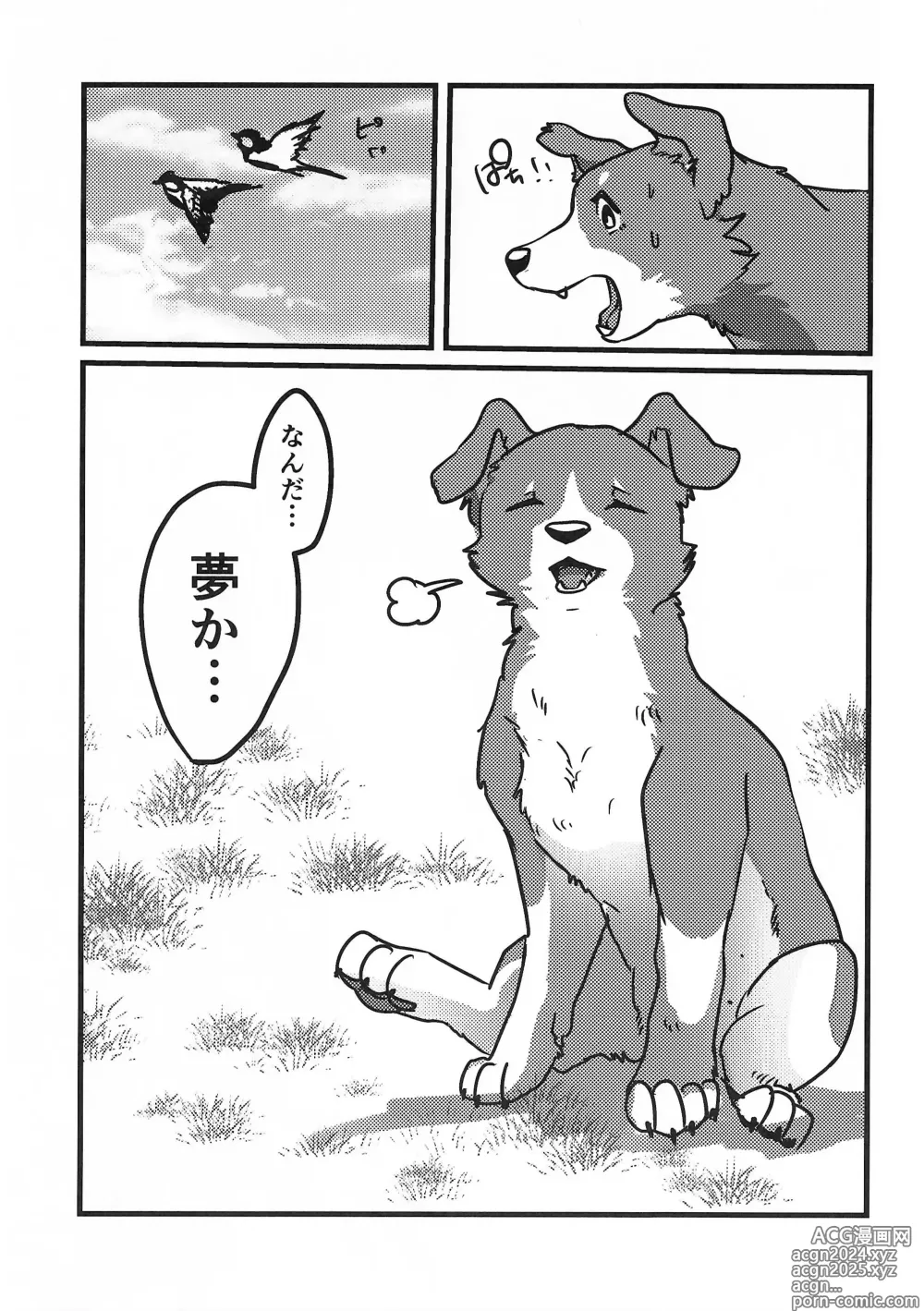 Page 10 of doujinshi DOG.IN.CAGE The best in corn