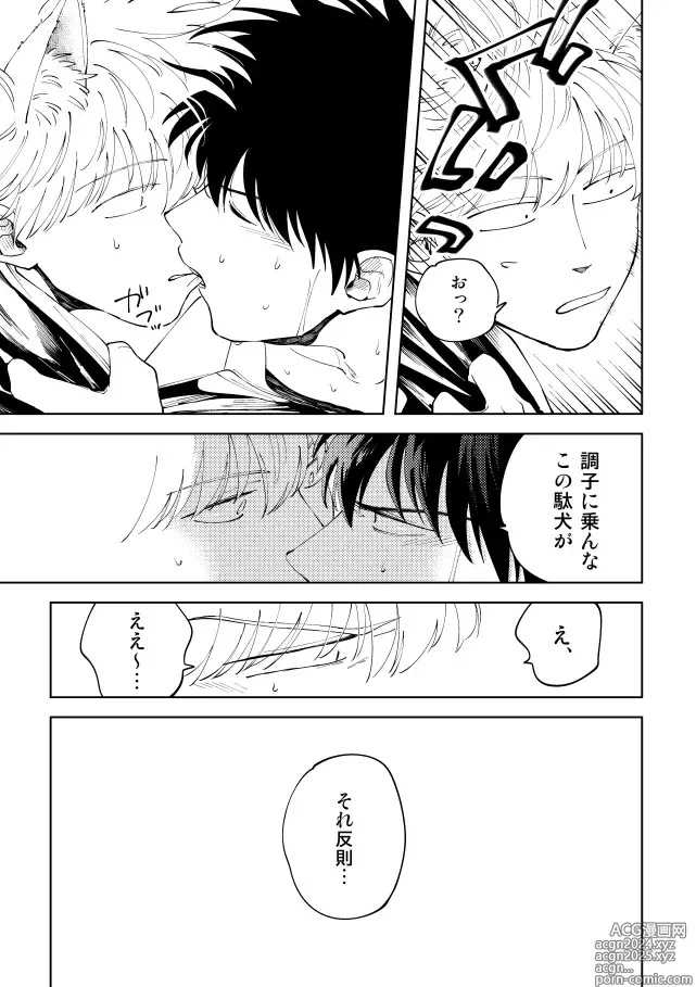 Page 26 of doujinshi Koko hore wanwan