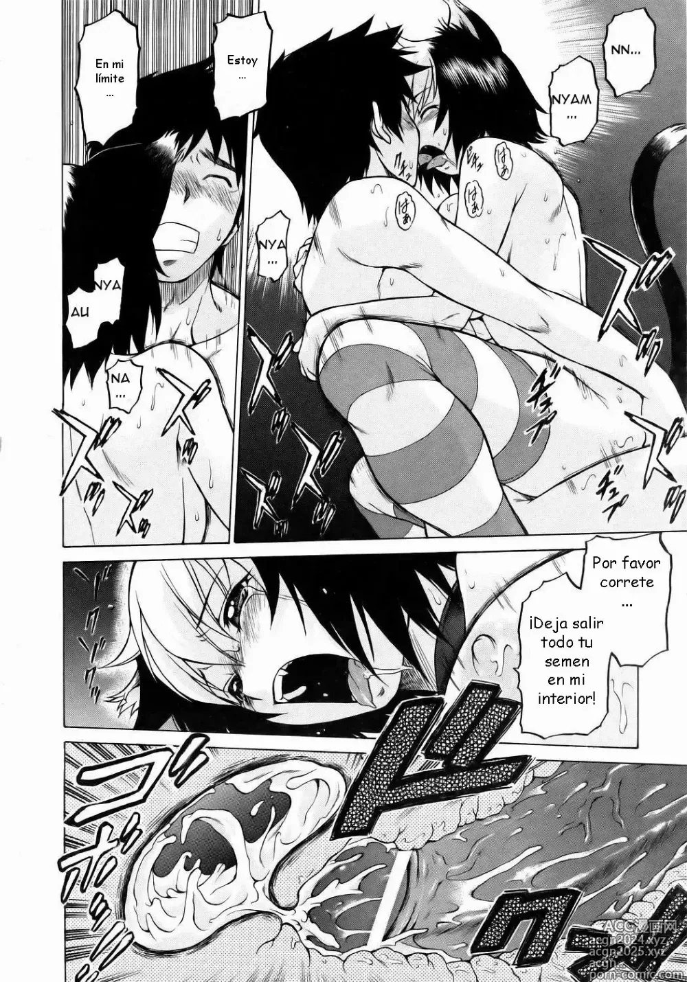 Page 26 of manga Miracle Neko Punch!