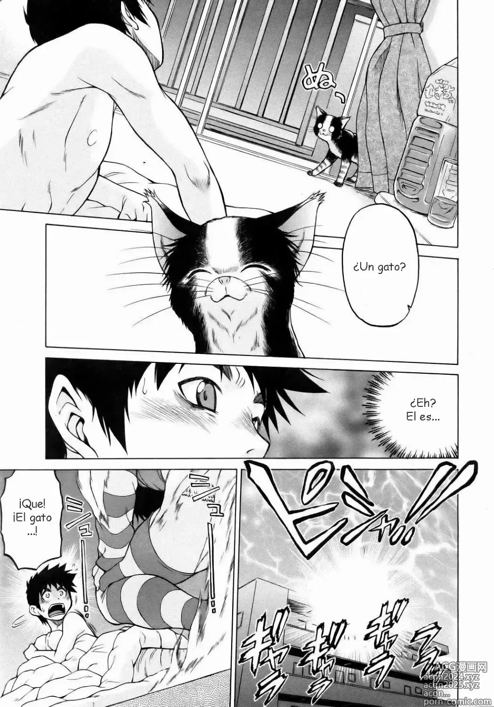 Page 7 of manga Miracle Neko Punch!