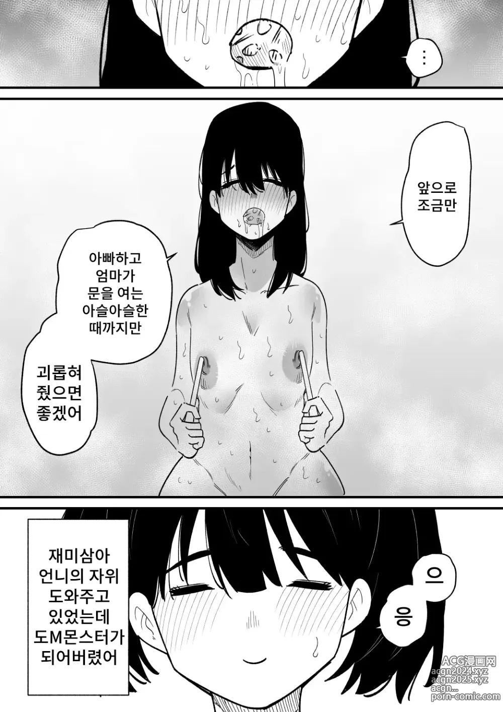 Page 26 of doujinshi 젖꼭지 개발한 언니를 오늘도 조련한다