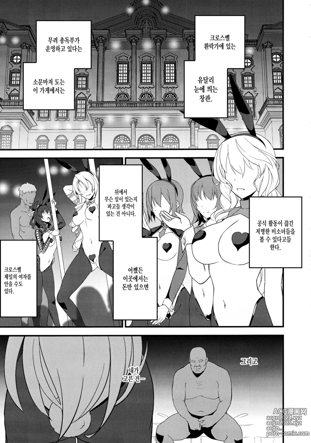 Page 3 of doujinshi Gyaku Bunny Ochi Elie-san