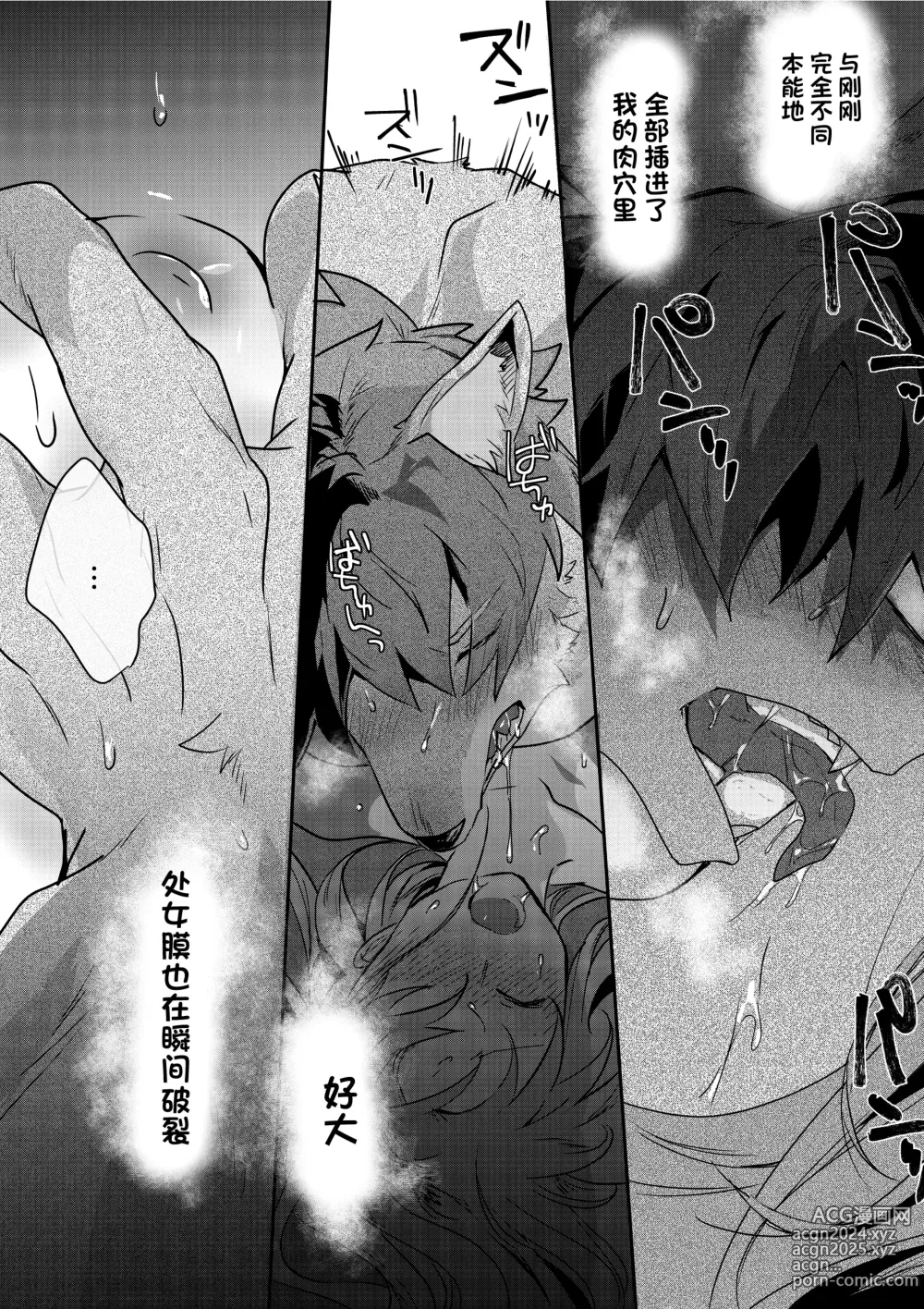 Page 13 of doujinshi Doutei Bushi Ookami