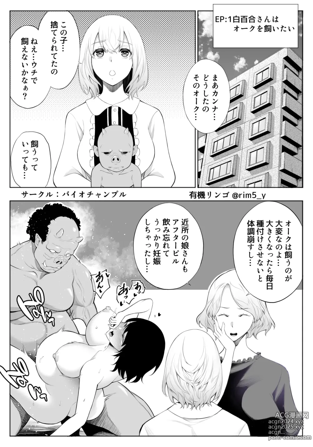 Page 3 of doujinshi Sayuri-san wa orc o kau