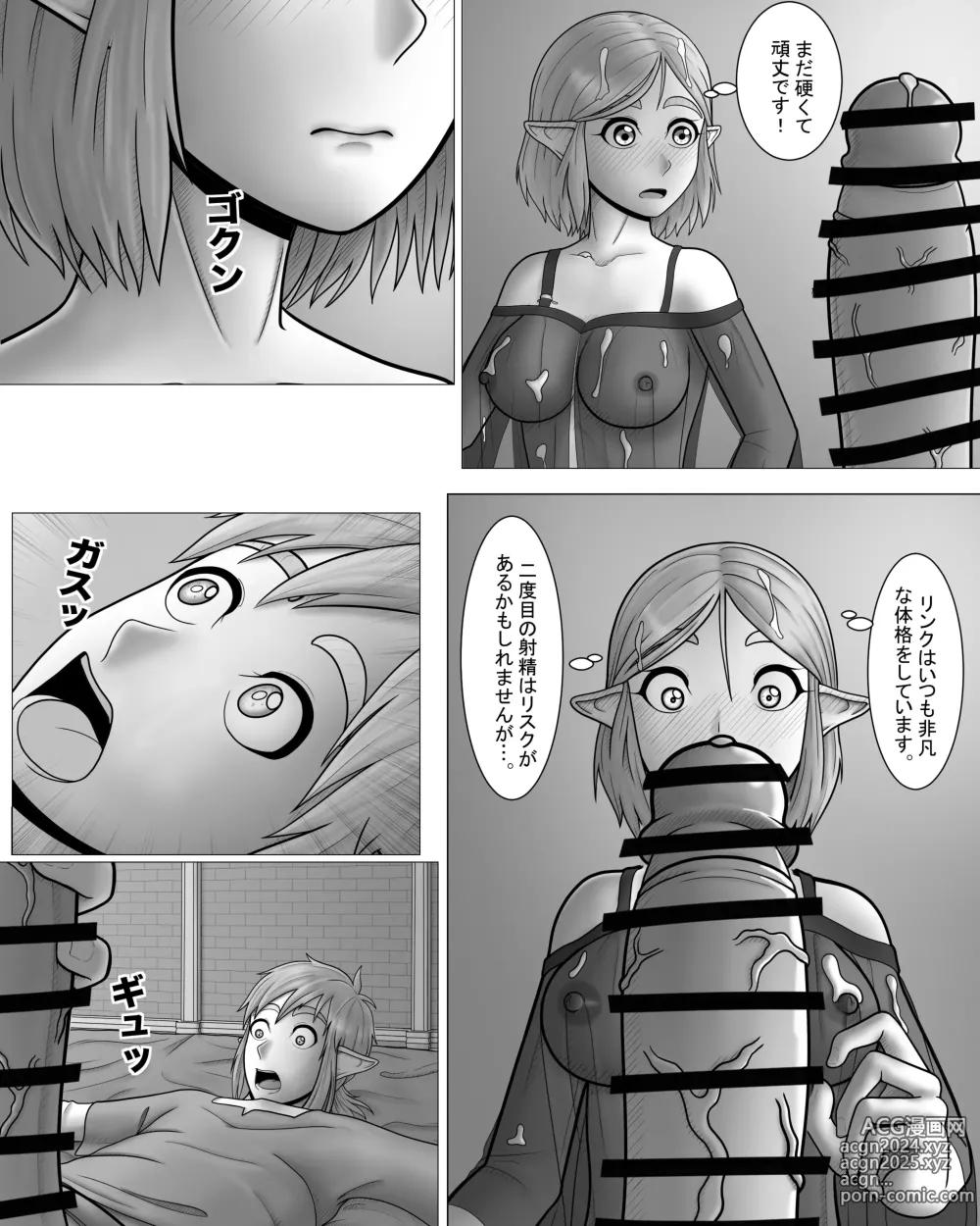 Page 14 of doujinshi Zelda no Densetsu: Princess to no Night