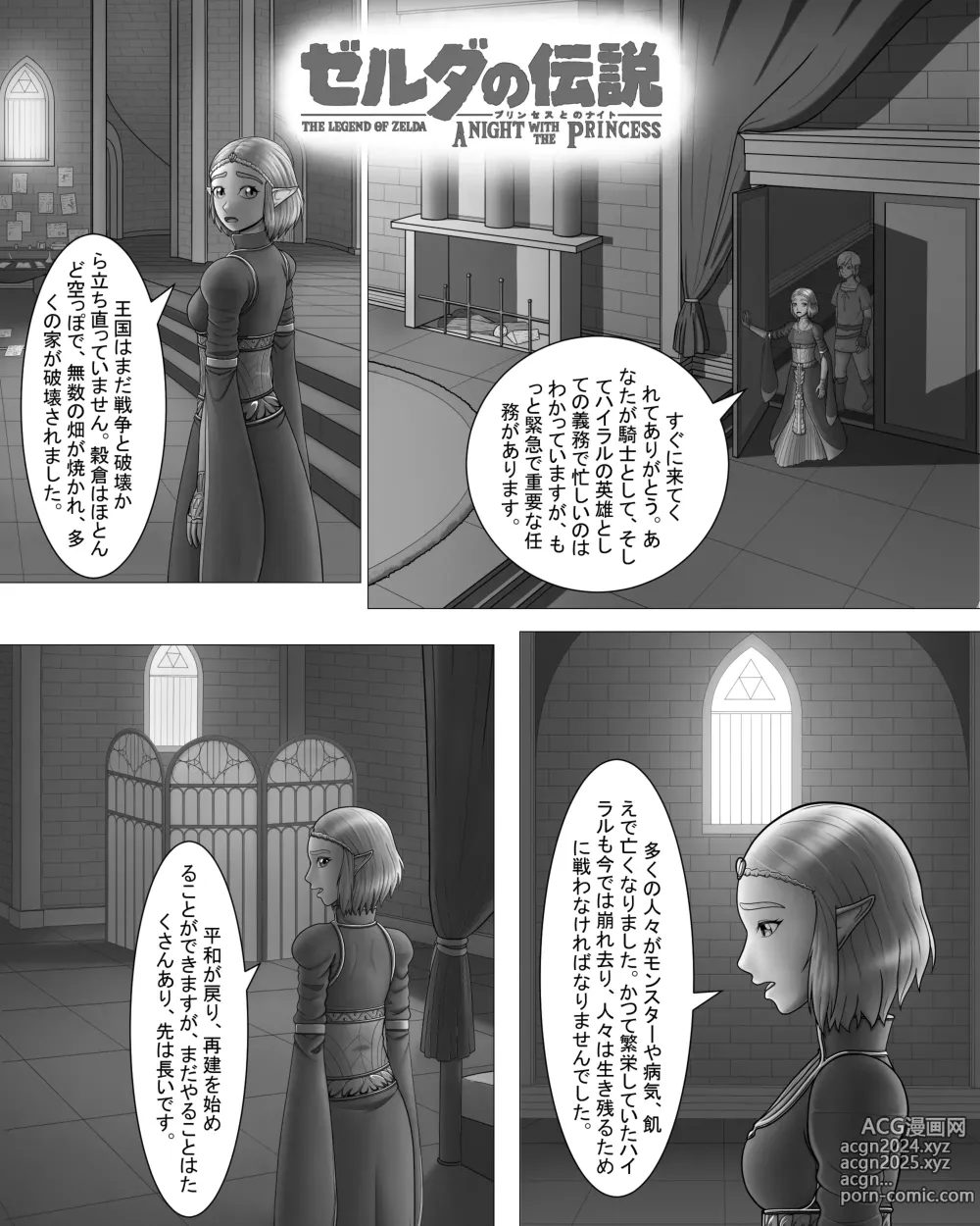 Page 3 of doujinshi Zelda no Densetsu: Princess to no Night