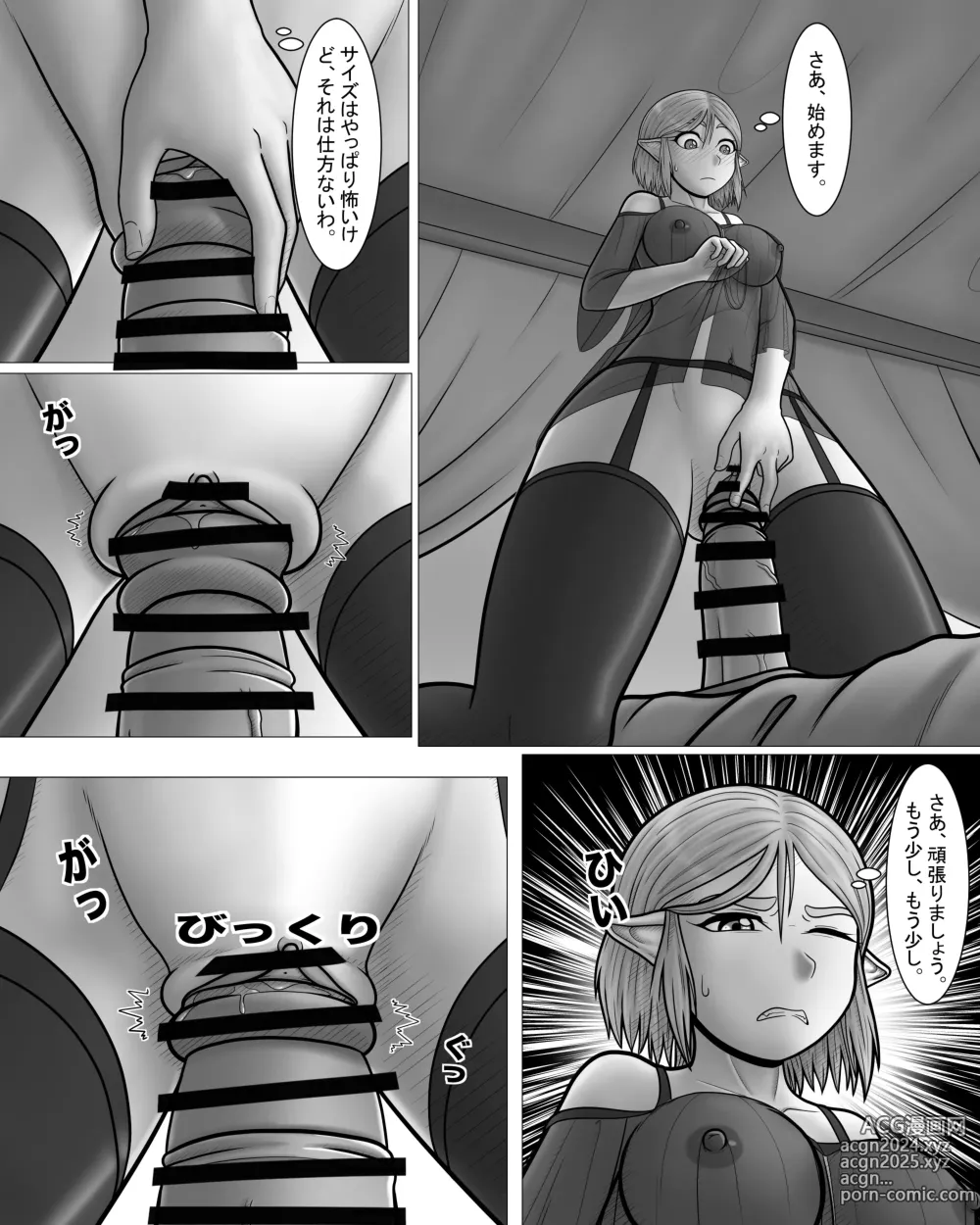 Page 23 of doujinshi Zelda no Densetsu: Princess to no Night