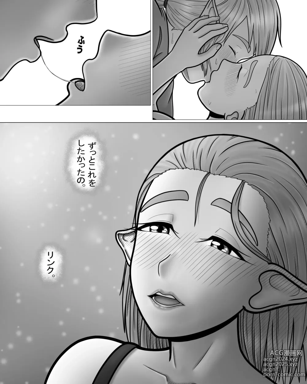 Page 37 of doujinshi Zelda no Densetsu: Princess to no Night