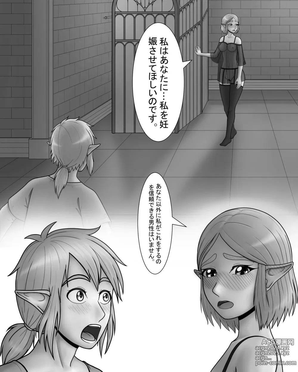 Page 6 of doujinshi Zelda no Densetsu: Princess to no Night