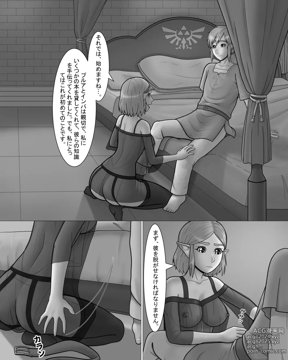 Page 8 of doujinshi Zelda no Densetsu: Princess to no Night