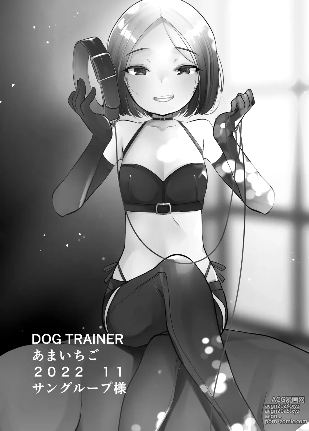 Page 30 of doujinshi DOGTRAINER