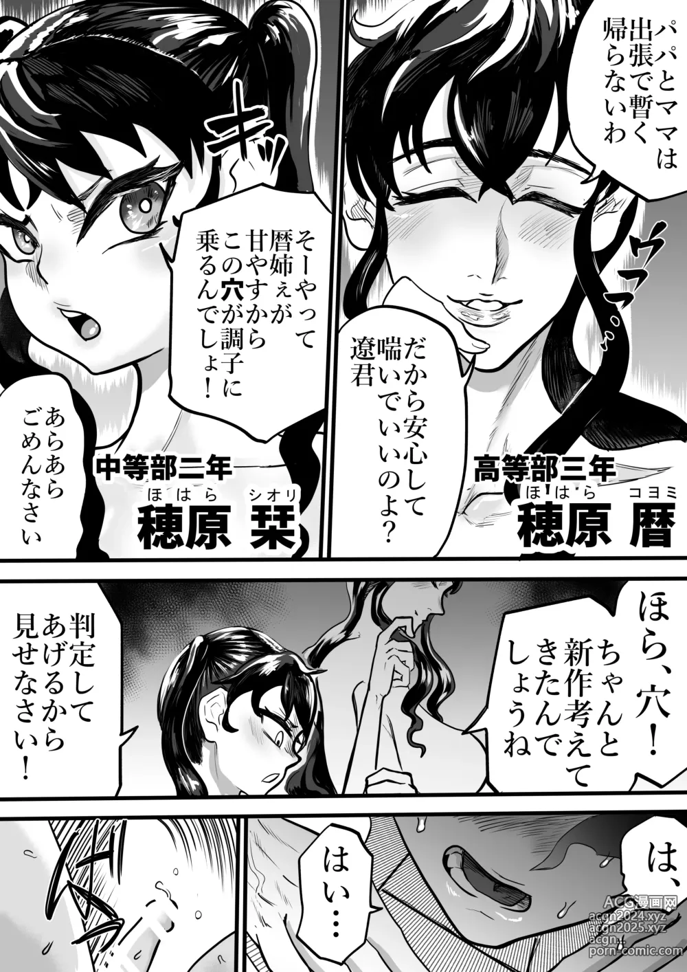 Page 5 of doujinshi Futari wa Futanari Boku to Ane to Imouto no Himitsu no Kankei