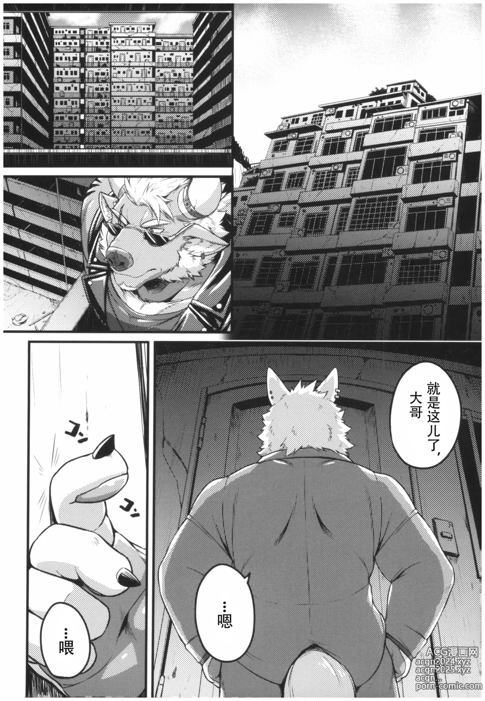 Page 8 of doujinshi 迷烟中的锁眼