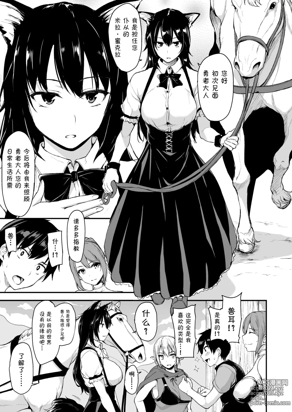 Page 6 of doujinshi Isekai Harem Monogatari 2-2.5