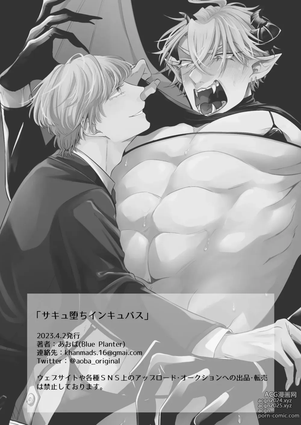 Page 27 of doujinshi Succu Ochi Incubus