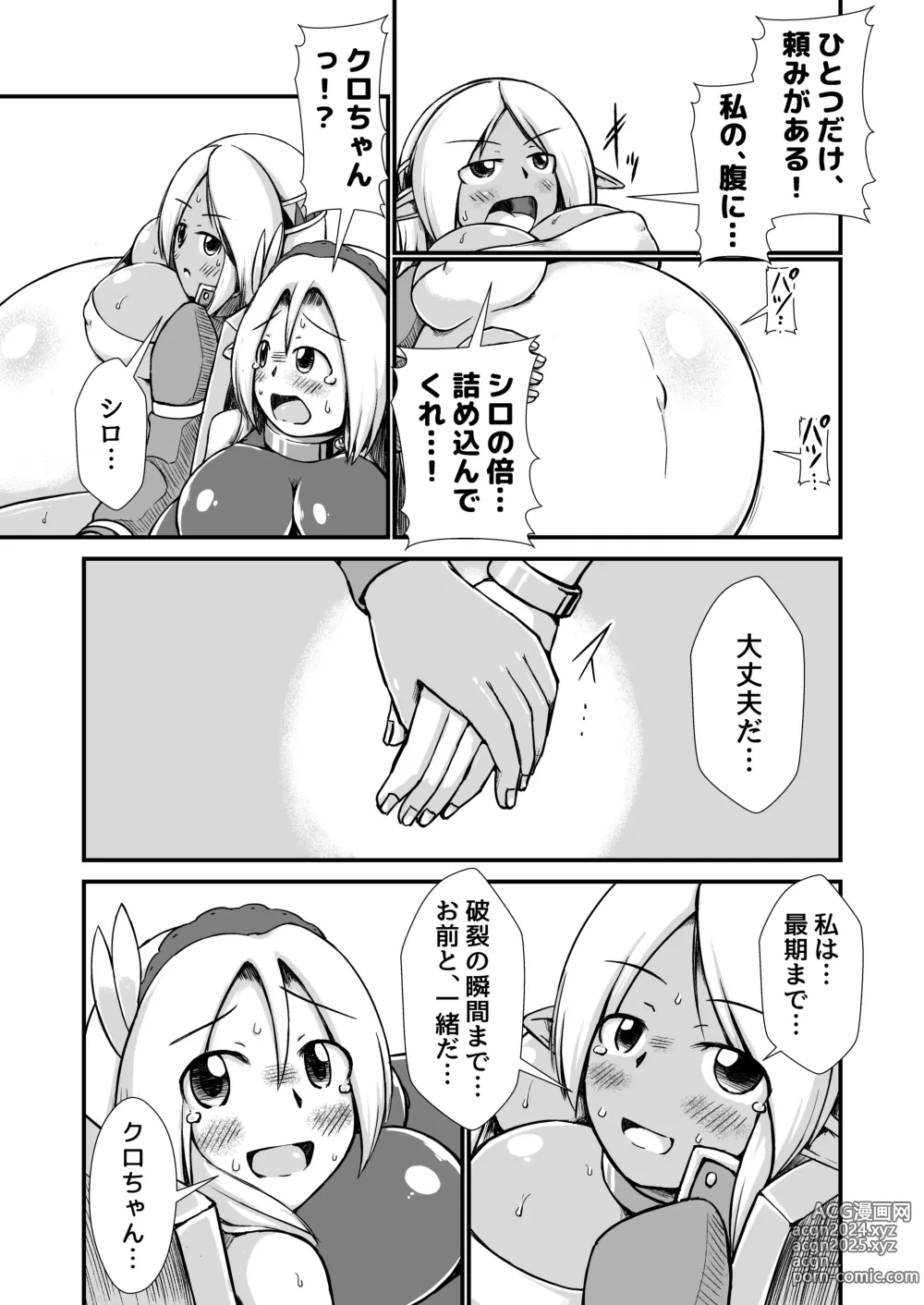 Page 15 of doujinshi 白黒エルフ膨腹破裂_binf