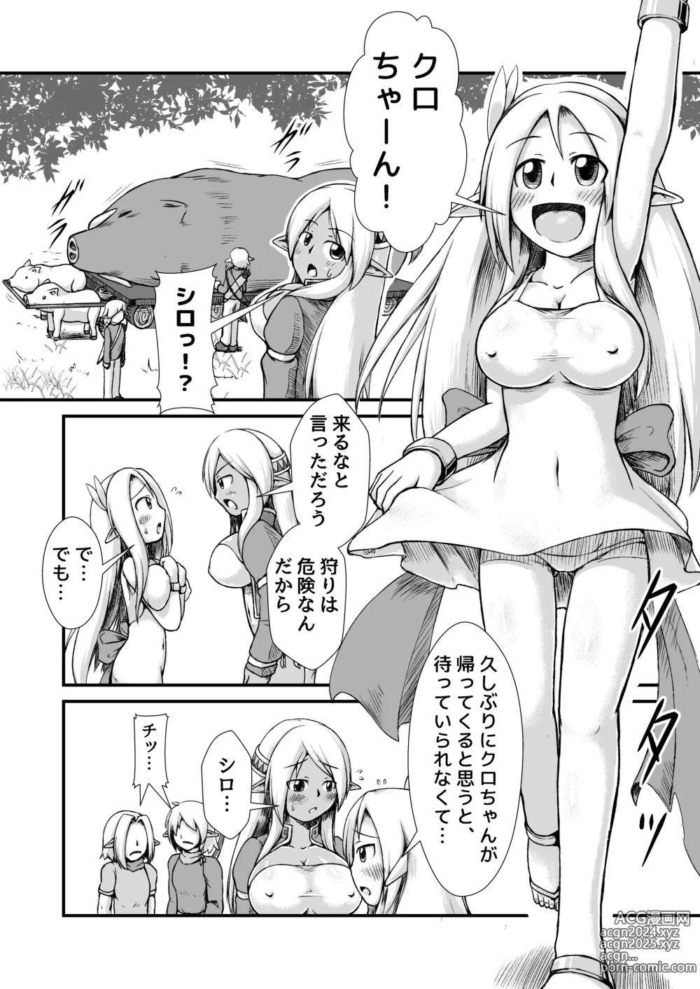 Page 3 of doujinshi 白黒エルフ膨腹破裂_binf