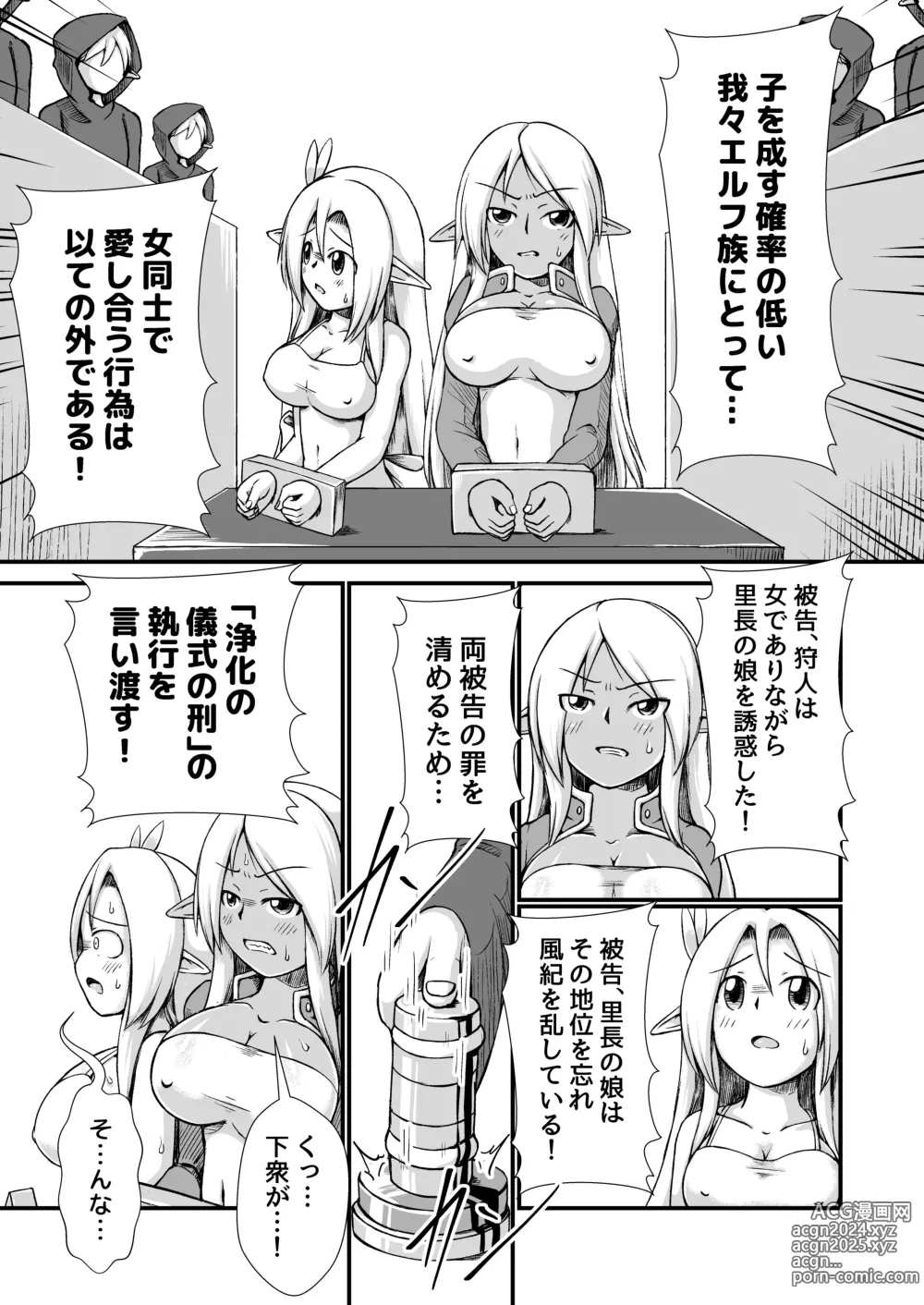 Page 4 of doujinshi 白黒エルフ膨腹破裂_binf