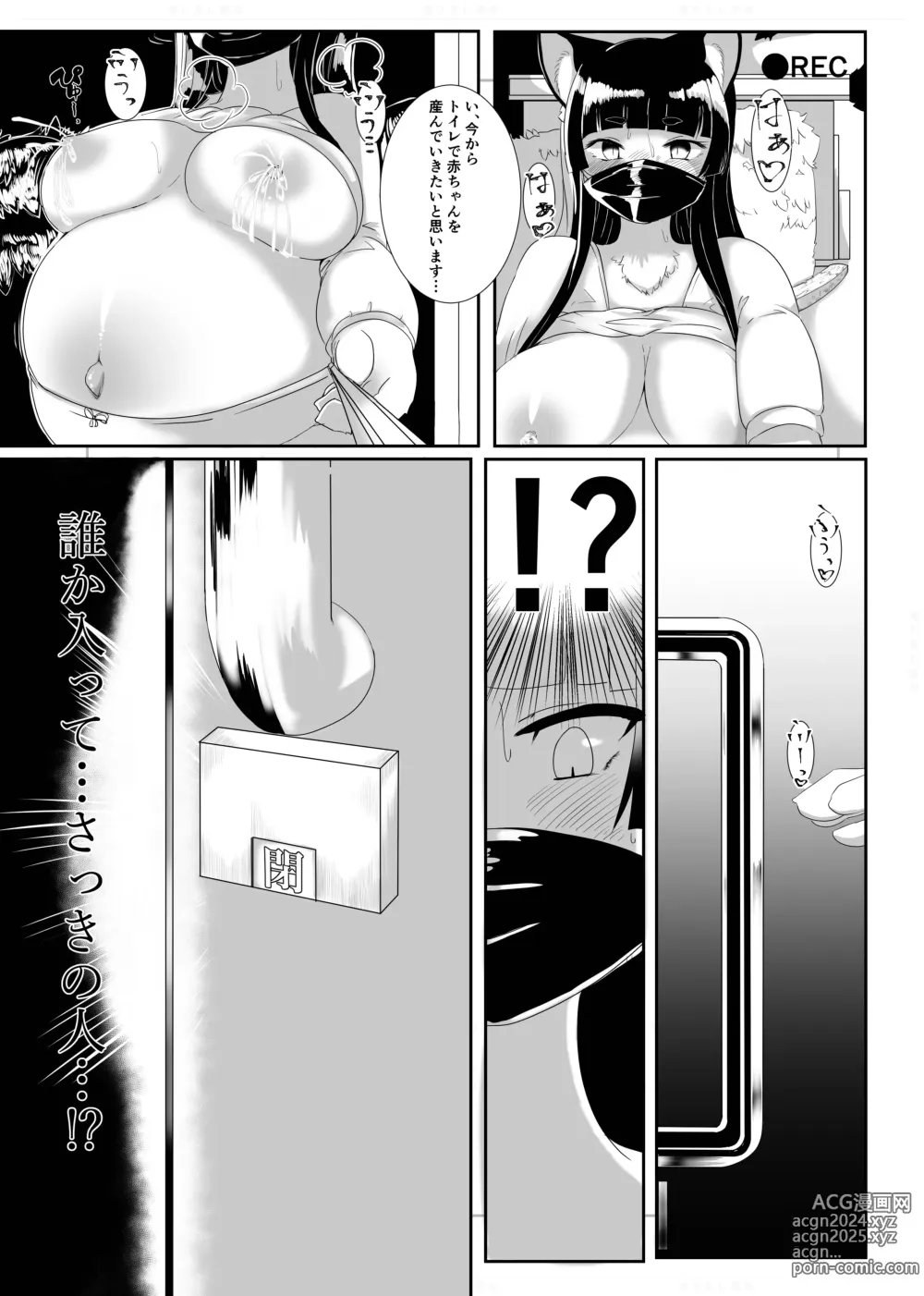 Page 12 of doujinshi Fur Pre in -Bad exposure-