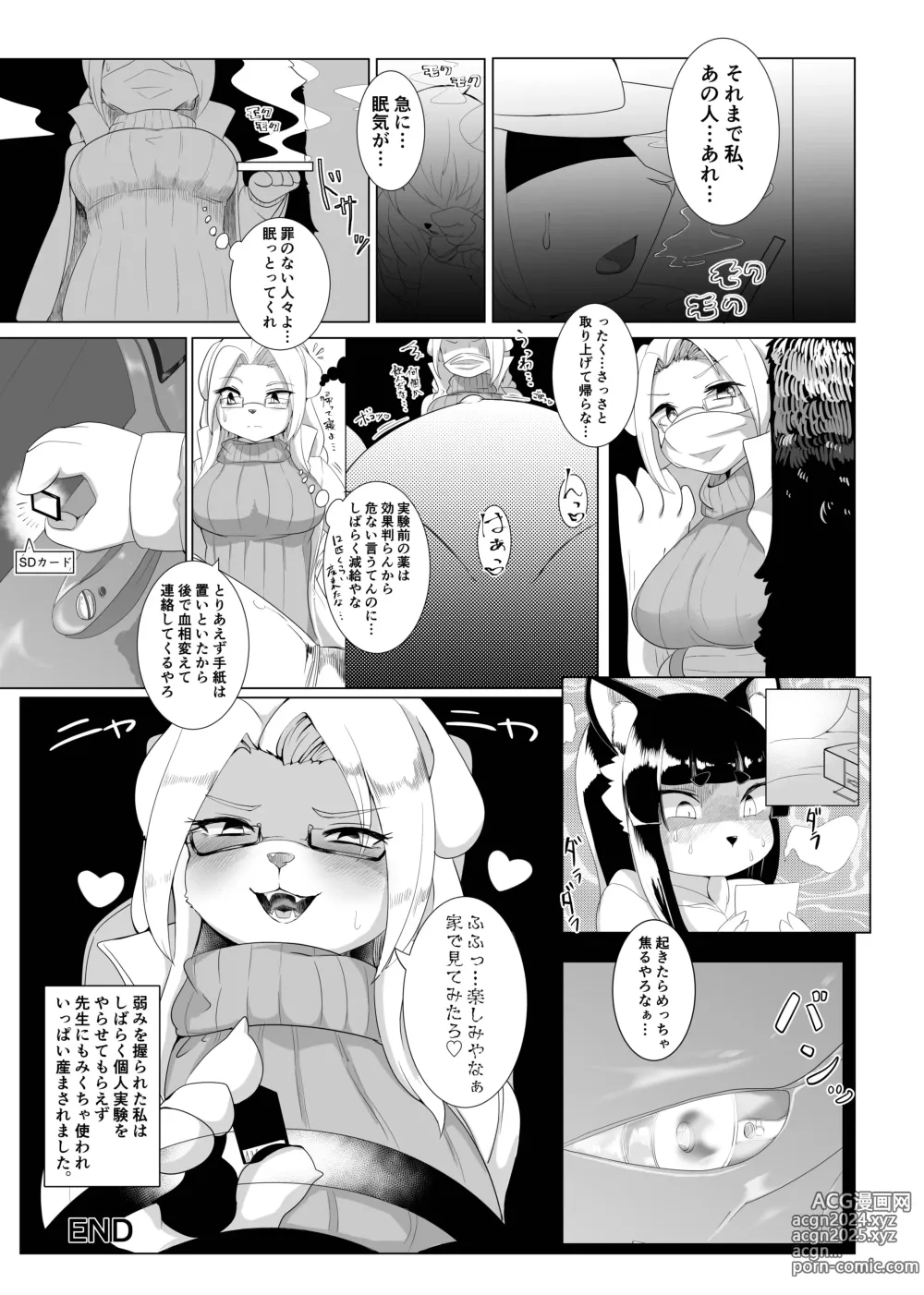 Page 24 of doujinshi Fur Pre in -Bad exposure-