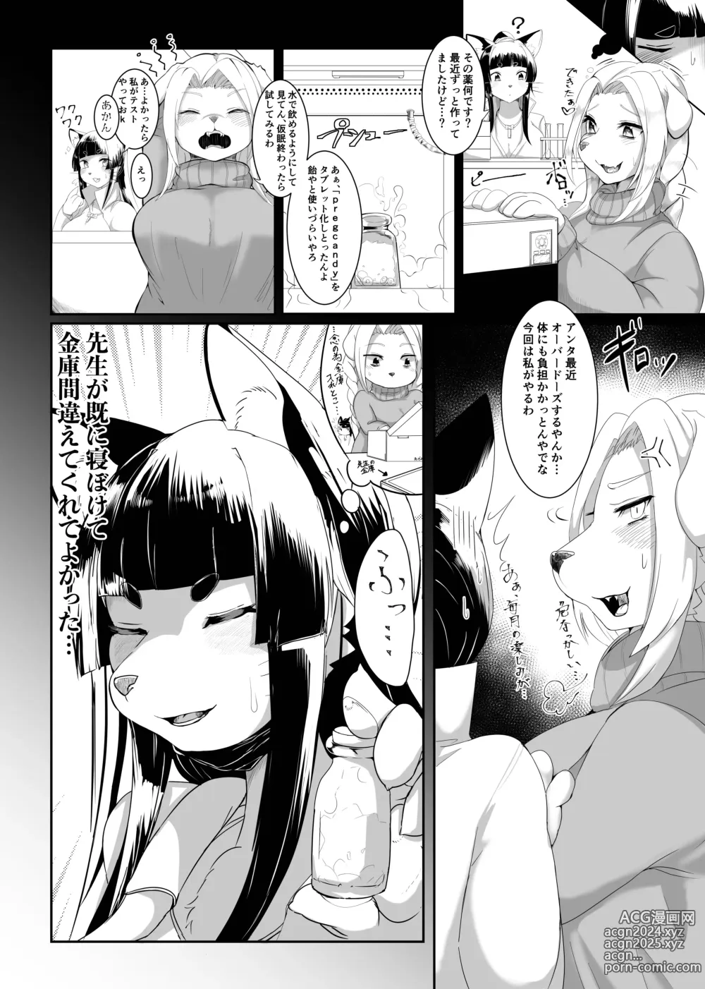 Page 5 of doujinshi Fur Pre in -Bad exposure-