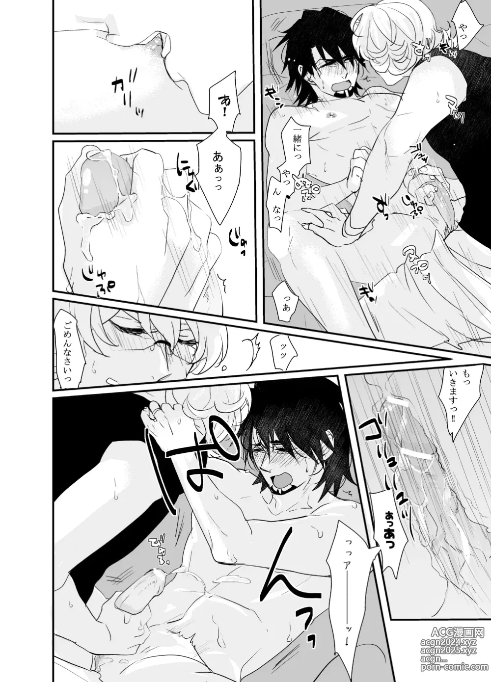 Page 13 of doujinshi Irregular