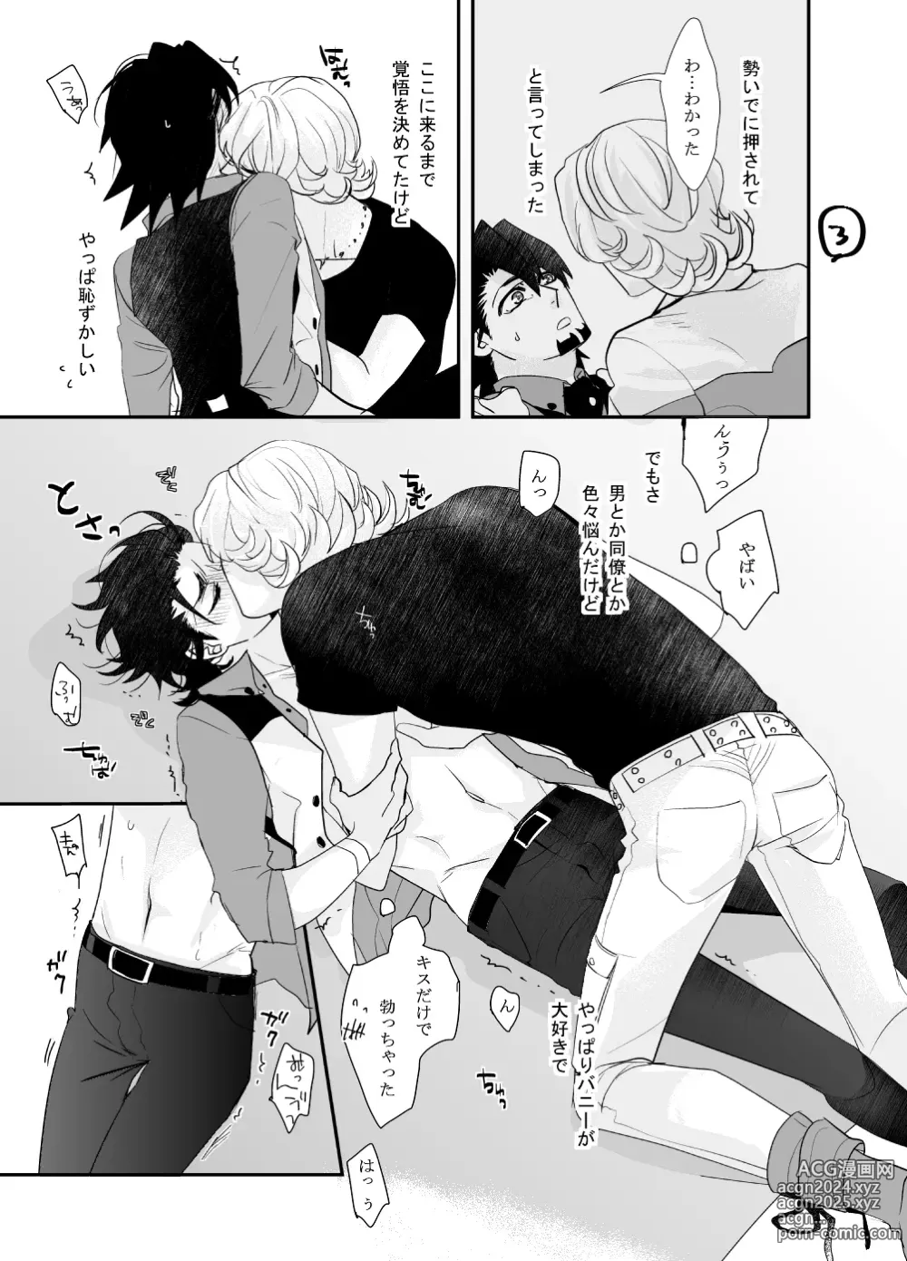 Page 4 of doujinshi Irregular