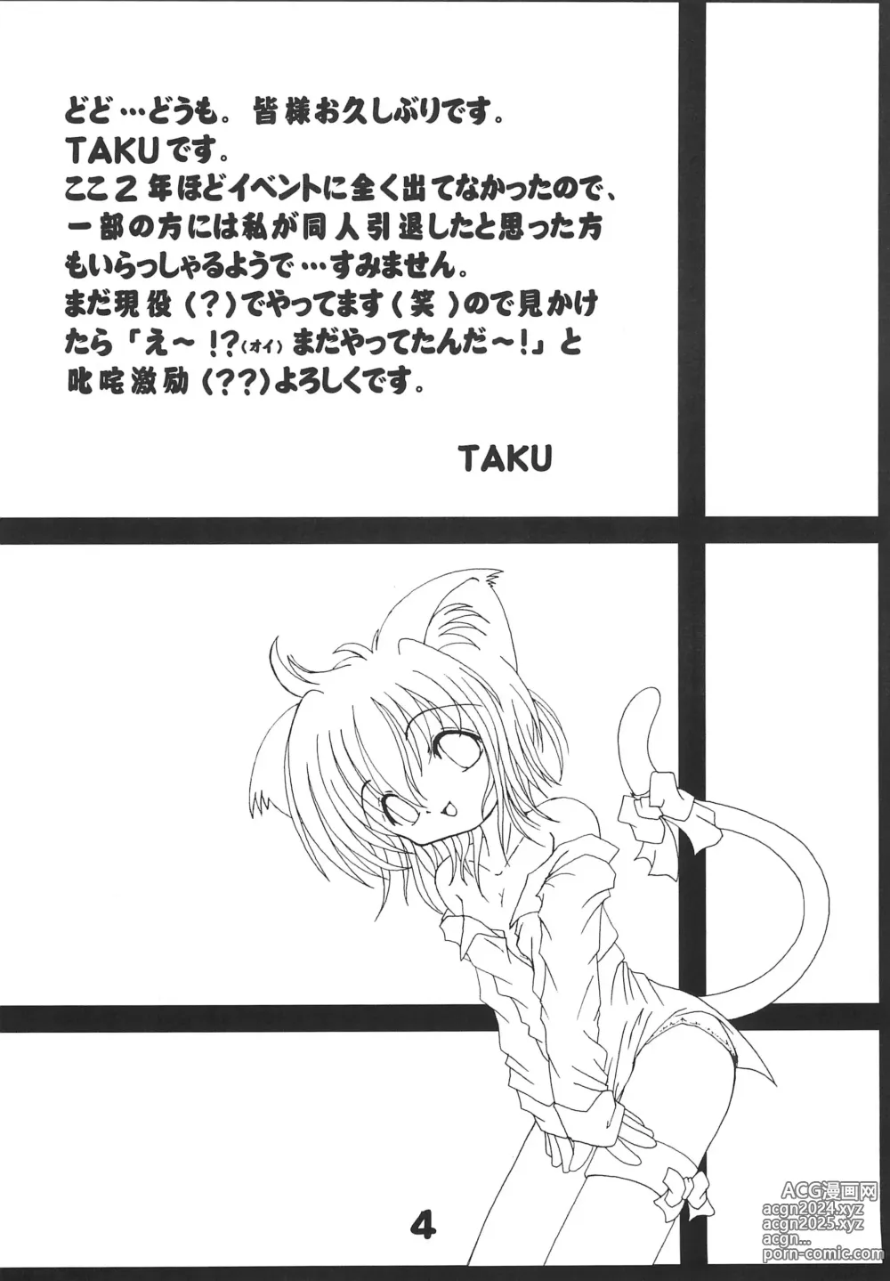 Page 4 of doujinshi NekoFeti 11