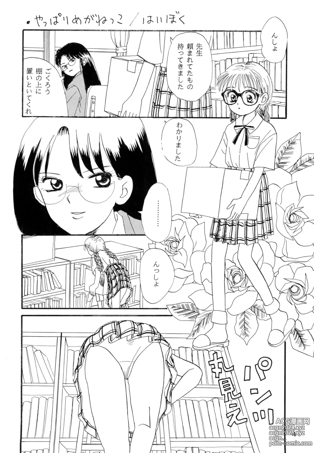 Page 4 of doujinshi Meganegane