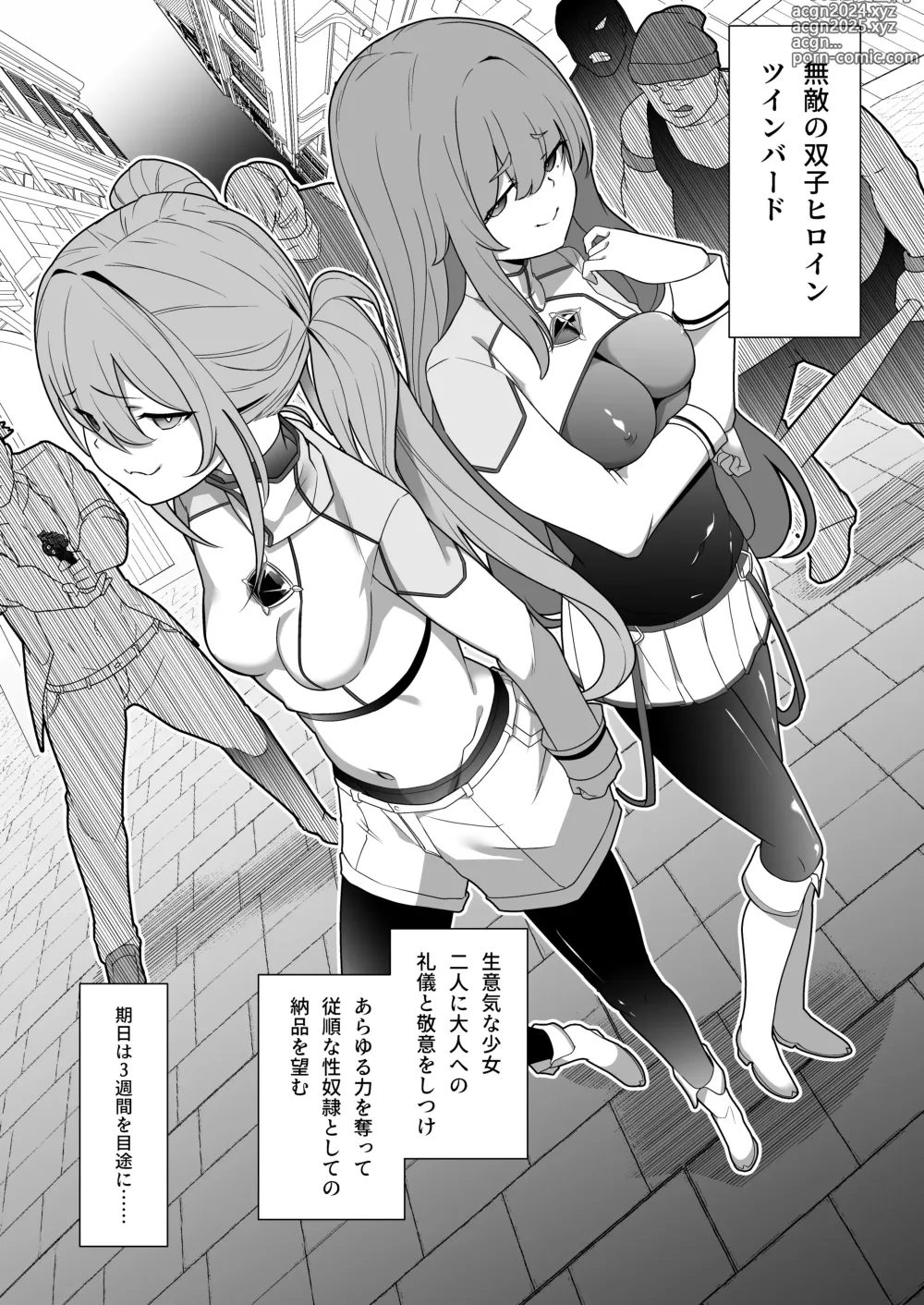 Page 5 of doujinshi Jo Chiku Kako Plant Torawareta Hero Twin-Bird Kako Kiroku Zenpen