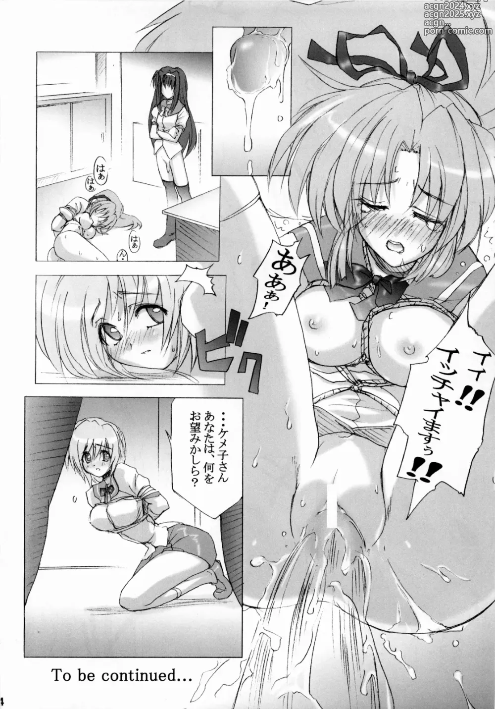 Page 23 of doujinshi 限定境界