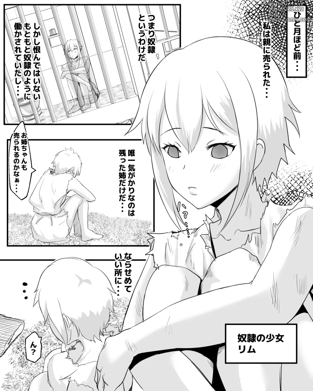 Page 4 of doujinshi Dorei Shoujo to Buta no Nan