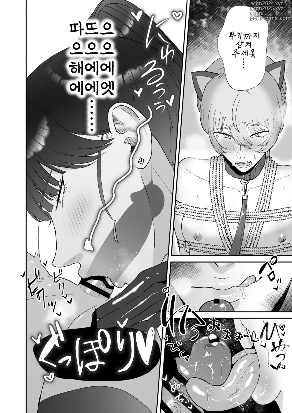 Page 12 of doujinshi 나는 마조가 매우 취향인 누나의 완구