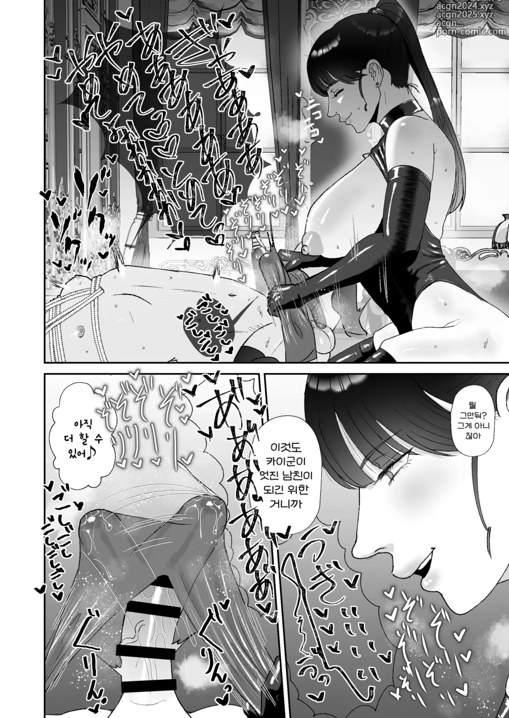 Page 20 of doujinshi 나는 마조가 매우 취향인 누나의 완구