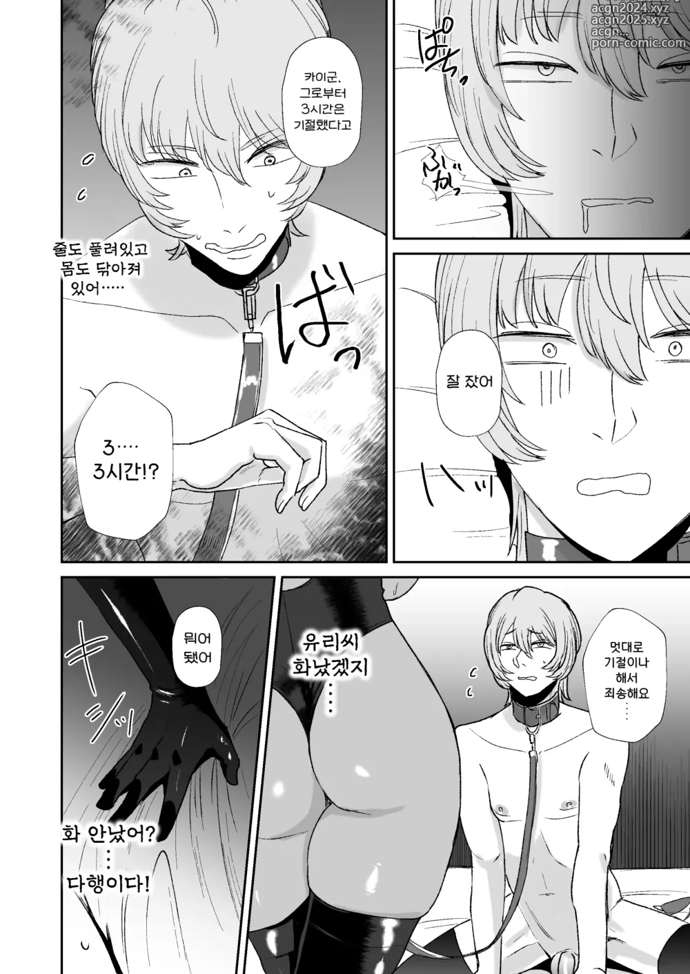 Page 22 of doujinshi 나는 마조가 매우 취향인 누나의 완구