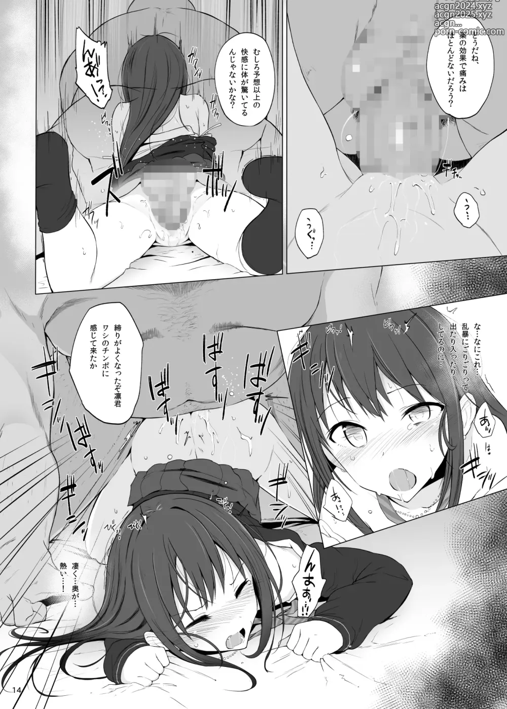 Page 13 of doujinshi Cinderella Capsule I＆II