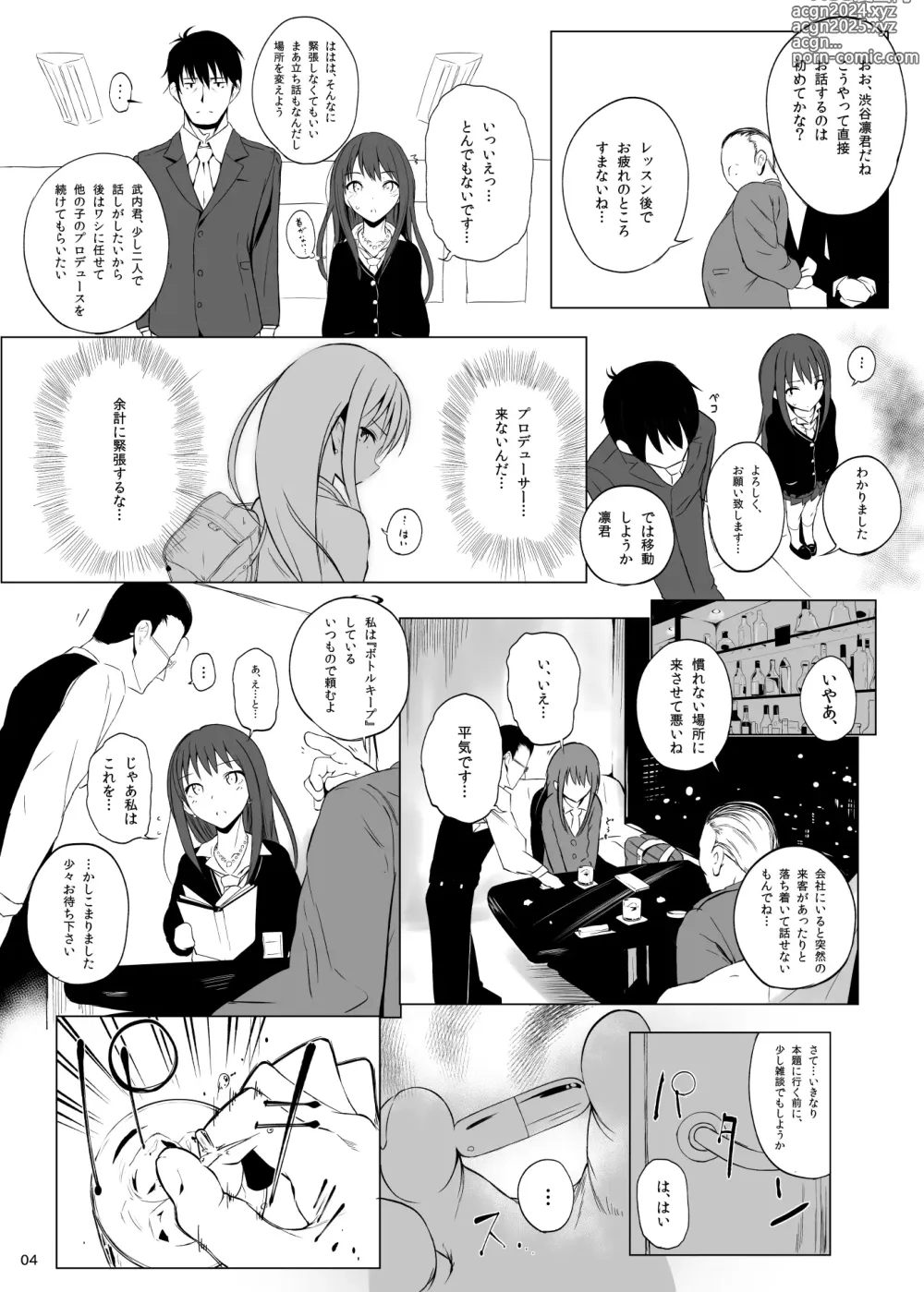 Page 3 of doujinshi Cinderella Capsule I＆II