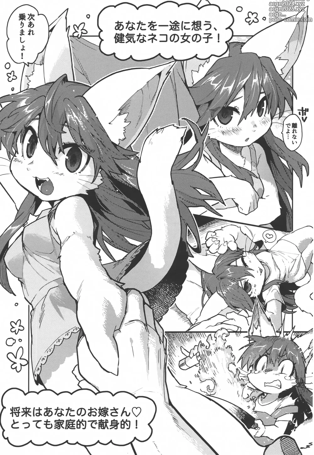 Page 4 of doujinshi Kemo Gal Partner Shindan Test