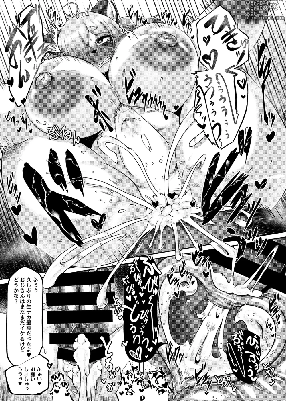 Page 12 of doujinshi Torenu Tanuki no Kawazanyou