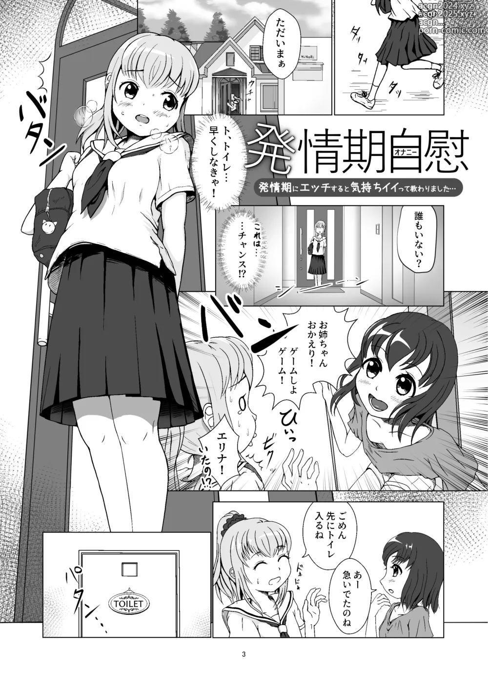 Page 3 of doujinshi Hatsujouki Onanie ~Hatsujouki ni Ecchi suru to Kimochiii tte Osowarimashita...~